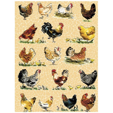 Decopatch papir 30 x 40cm 559