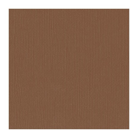 Florence teksturni papir 30x30cm 216g. Lion