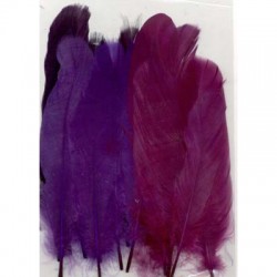 Perje Purple 3x5 kosov, 15 kos