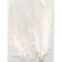 Perje Pure White 3x5 kosov, 15 kos