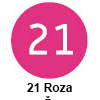  Pigma micron čopič, 21 Roza (art. XSDK-BR21)