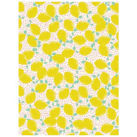 Decopatch papir 30 x 40cm 745