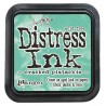Tim Holtz Distress blazinica 5 x 5cm, Cracked Pistacio