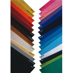 Favini Prisma barvni papir 70x100cm B1 220g.