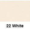  Favini Prisma 70 x 100cm B1 220g. 22 White (art. PA-025-22) 