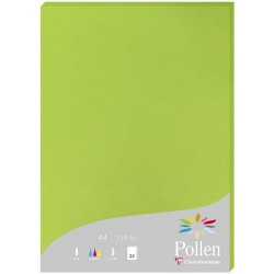 Barvni papir gladek Pollen 210g. 25 kosov 