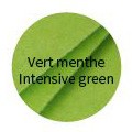  Barvni papir Intenzivno zelena 210x297mm A4 210g. 25 kos