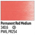  PanPastel 340.6 PERMANENT RED MEDIUM